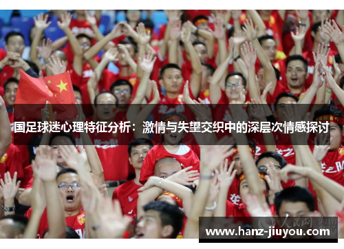 国足球迷心理特征分析：激情与失望交织中的深层次情感探讨