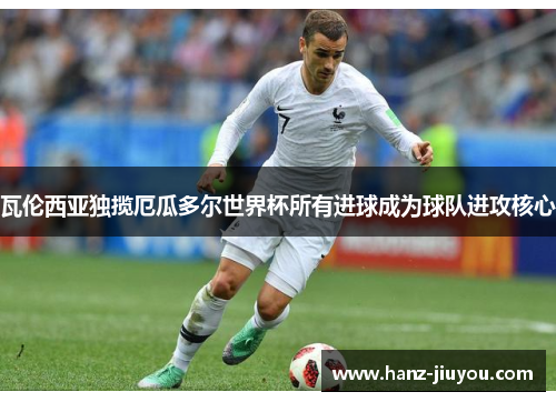 瓦伦西亚独揽厄瓜多尔世界杯所有进球成为球队进攻核心